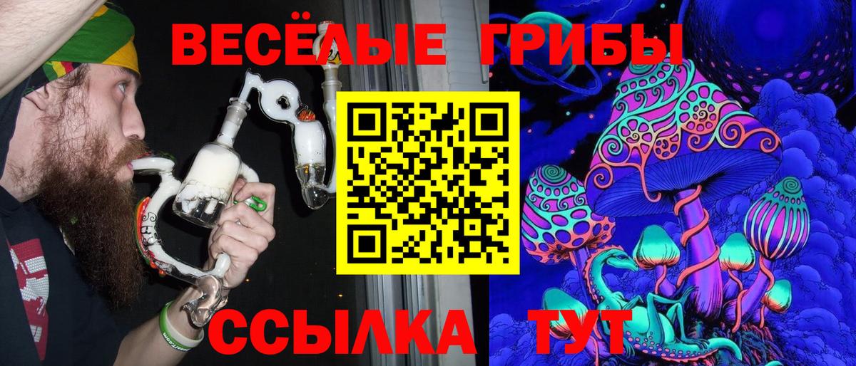 Галлюциногенные грибы мицелий Каменск-Шахтинский