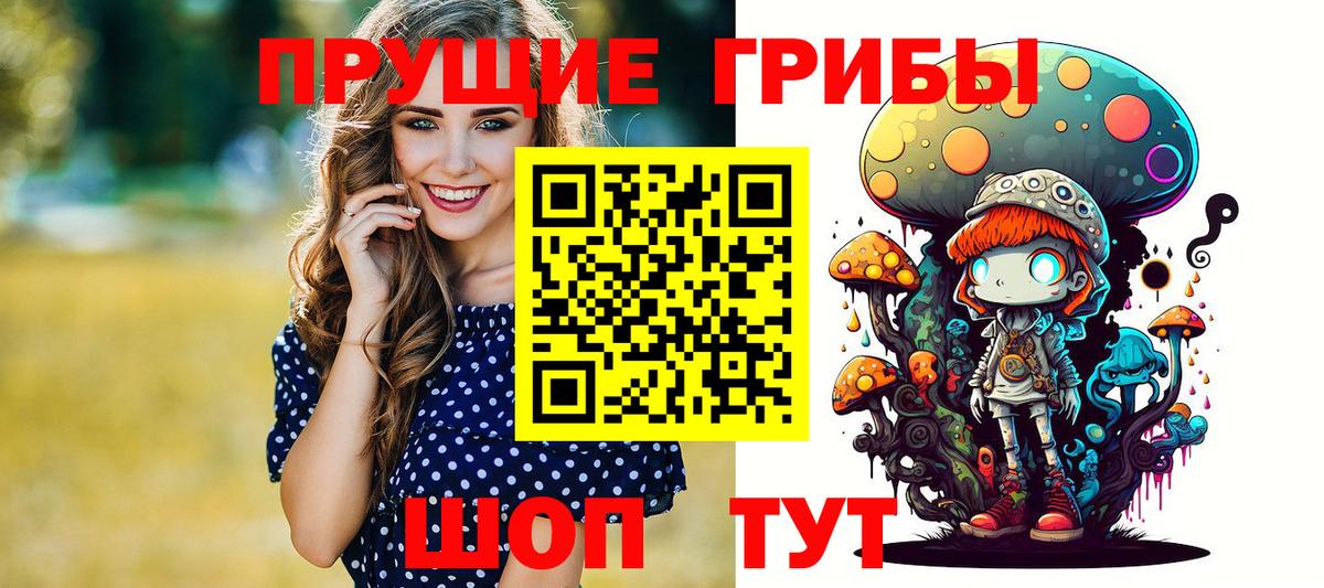 Псилоцибиновые грибы мицелий Каменск-Шахтинский