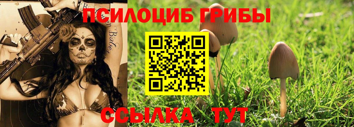Псилоцибиновые грибы MAGIC MUSHROOMS  Вход с VPN  Каменск-Шахтинский 