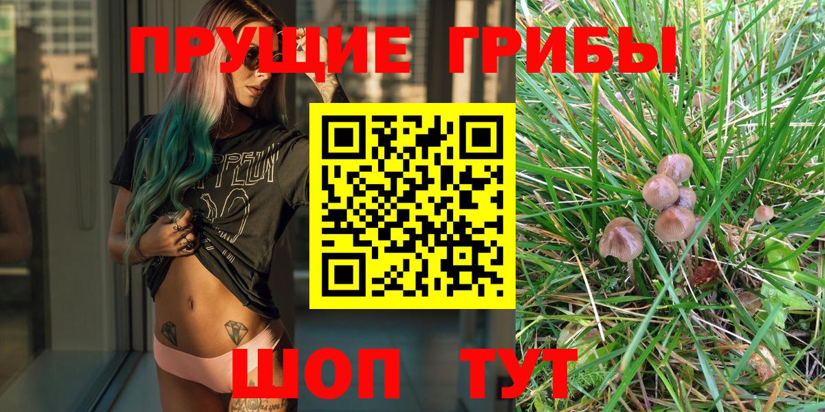 купить наркотик  Каменск-Шахтинский  Псилоцибиновые грибы Cubensis 